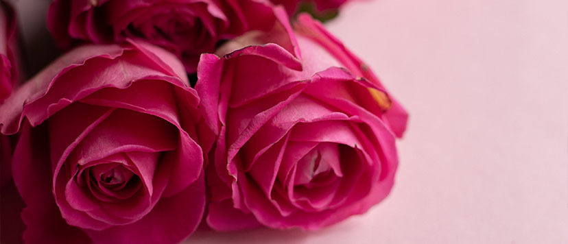 One Rose_こだわり01